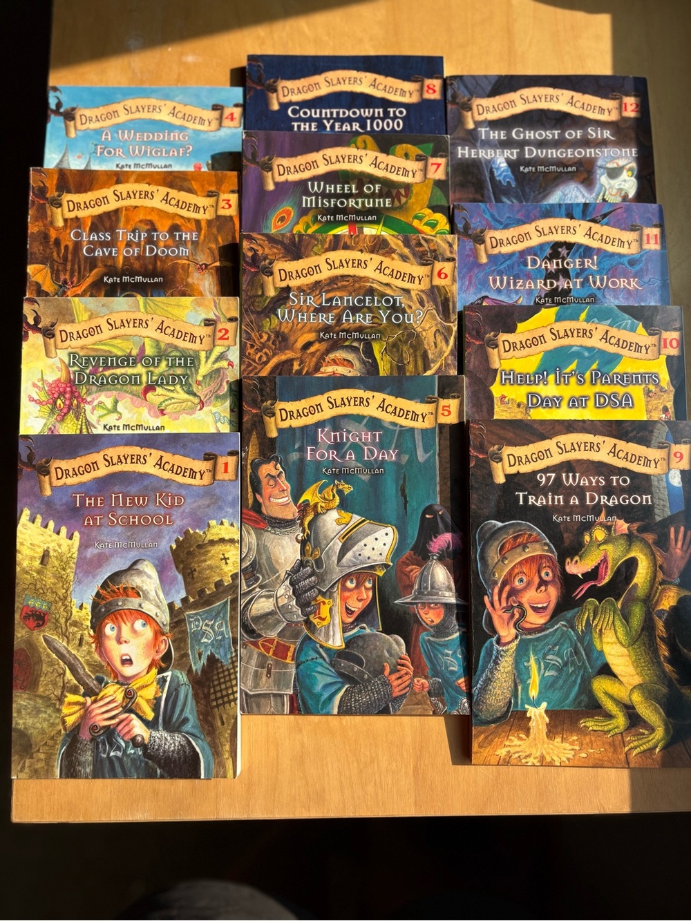 Dragon Slayers Academy book series bundle of 12 books